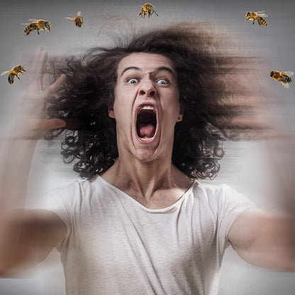 12 Packs of Annoying Sounds Device (3 Sounds) - InstaWOW Shop
