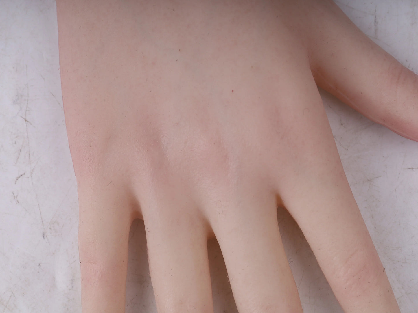 Ultra Realistic Female Silicone Hands with Forearm – Lifelike Wearable Hands