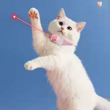 Automatic LED Laser Cat Collar Toy