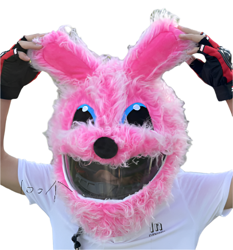 Long Hair Bunny Funny Motorcycle Helmet Cover - InstaWOW Shop