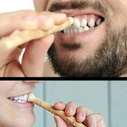 Miswak Tooth Cleaning Stick - InstaWOW Shop